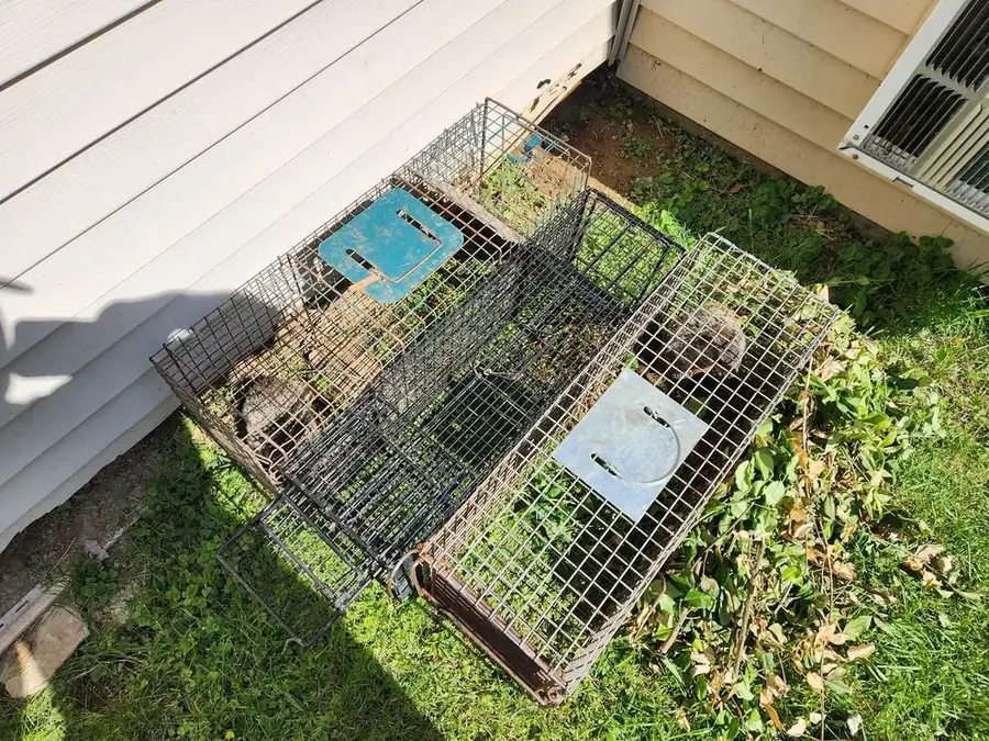 Two traps set on the ground beside a house.