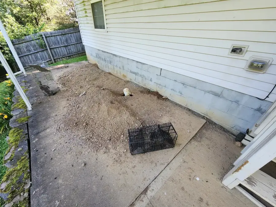 A trap set at the base of a wall on a concrete pad.