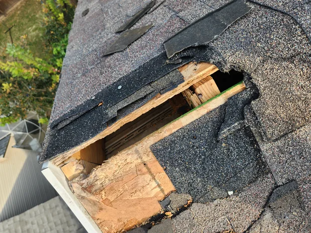 Shingles torn up and peeled back along a roof slope.